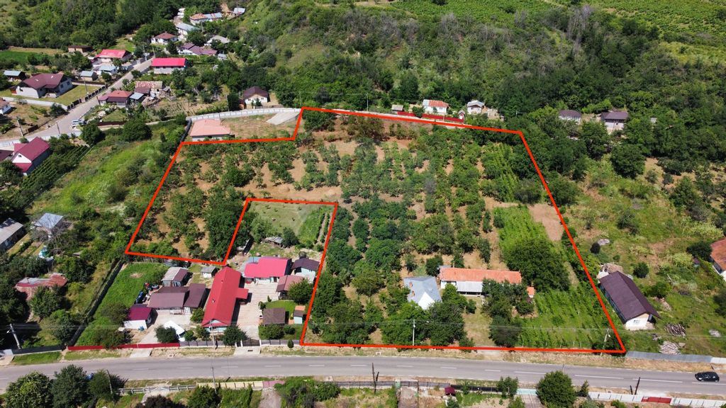 Casă plus 11590 teren intravilan