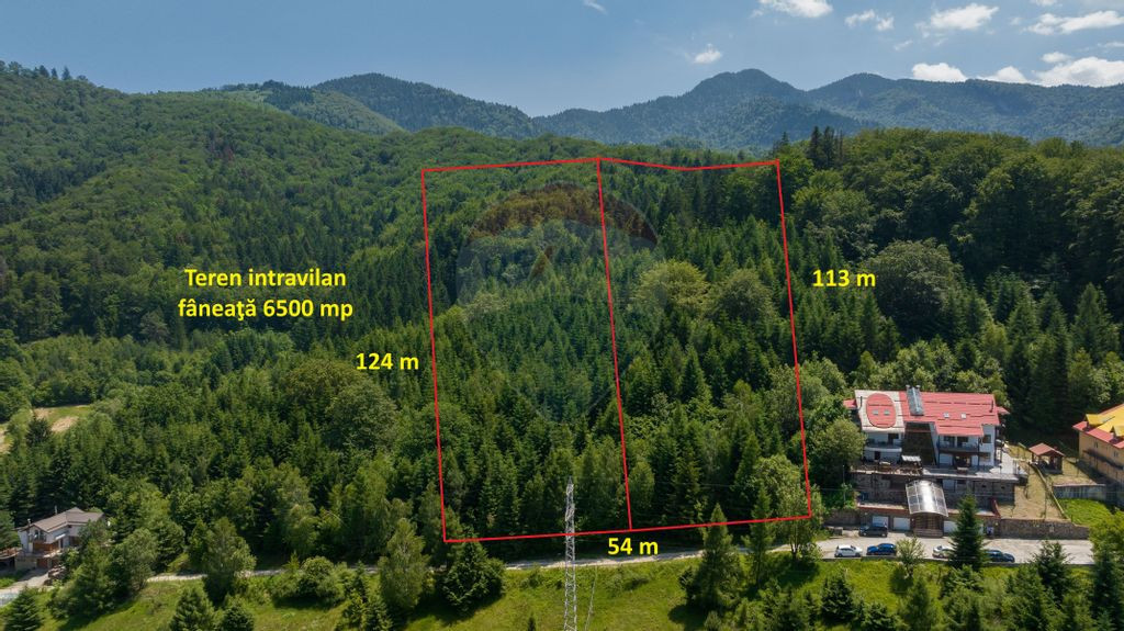 Teren intravilan, 6500 mp, Dâmbu Morii