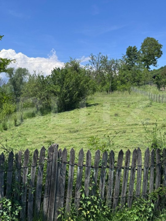 Teren intravilan, deschidere la drum – Bezdead, Dâmboviț