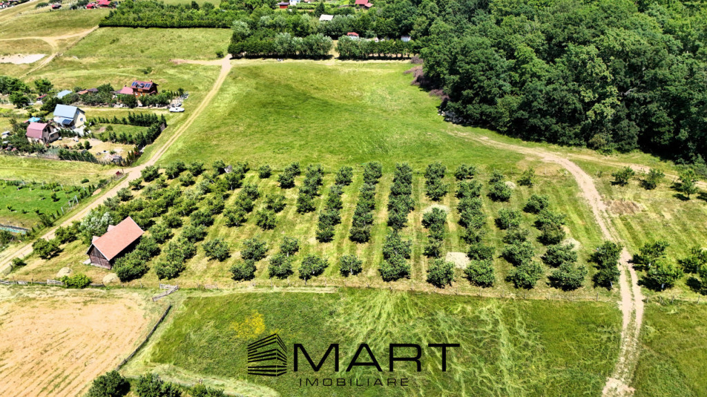 Teren extravilan 5000mp zona Cisnadie