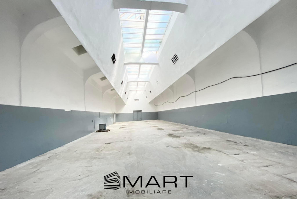 Spatii depozitare Cisnadie