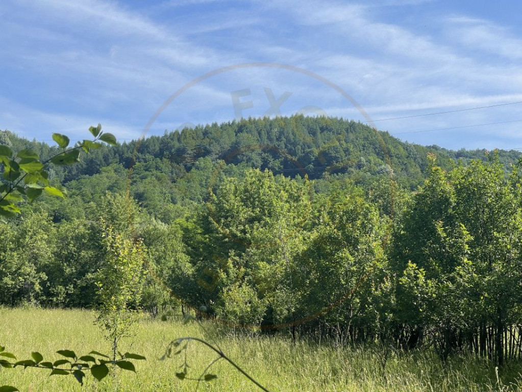 Teren Premium 1559 mp, Brebu Manastirei – Refugiu Montan l