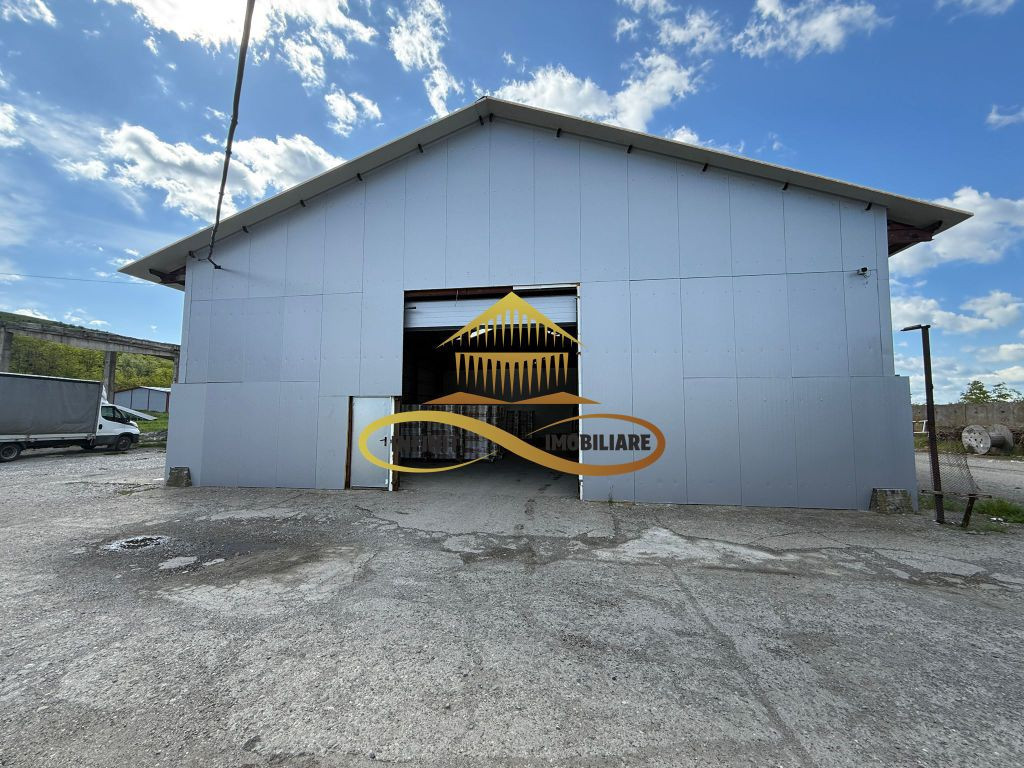 Hale de inchiriat in Buhusi Costisa
