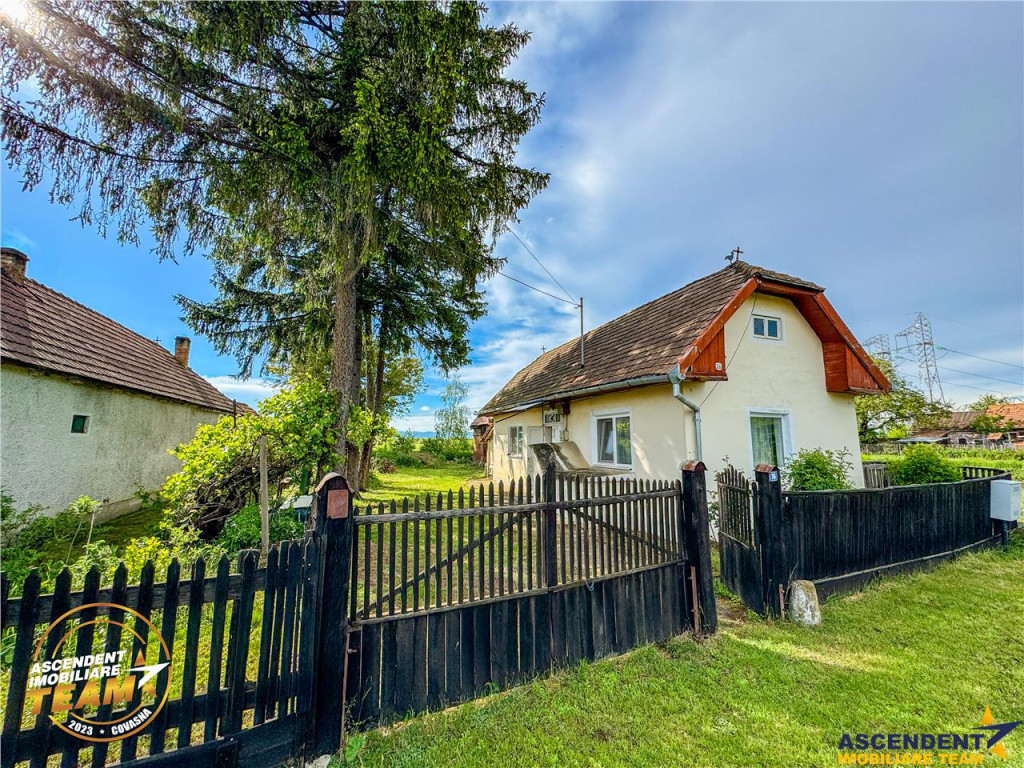 FILM! Casa pitoreasca anexe 1.500mp teren, Santionlunca,