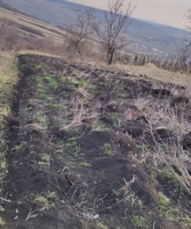 Teren zonă frumoasă