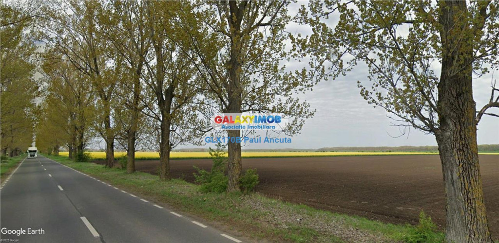 Teren la Drumul Judetean Dascalu Gagu 17800 mp intravilan
