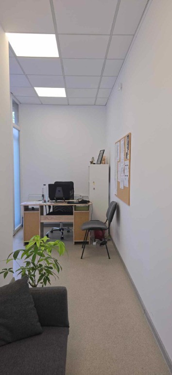 Spatiu comercial de inchiriat, Calea Aradului/str. N. Bolcas