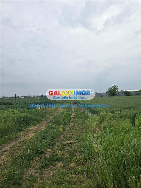 Teren 1 Decembrie VI 014