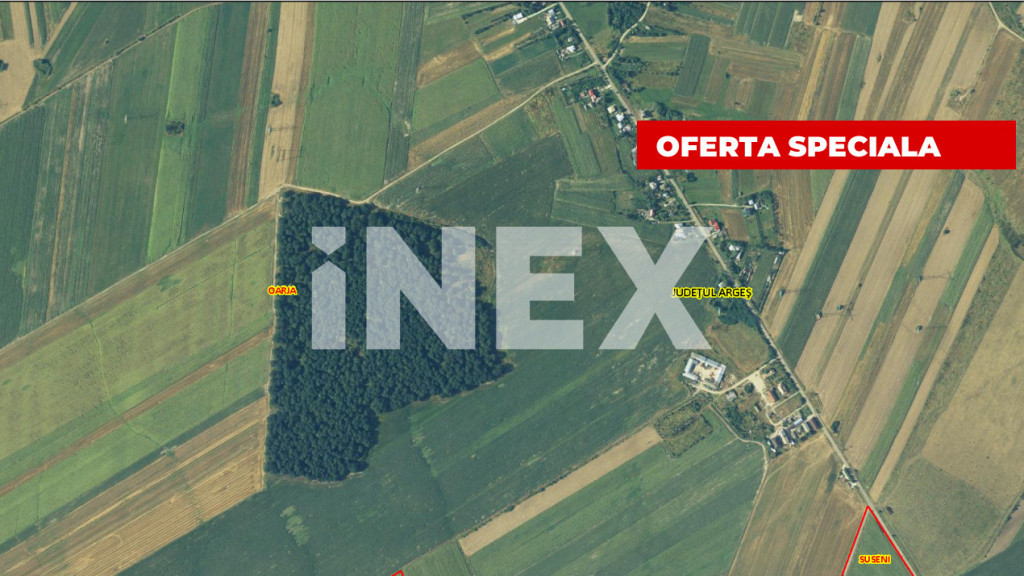 Pădure stejar 20 ha de vânzare – Zonă plană langa Auto