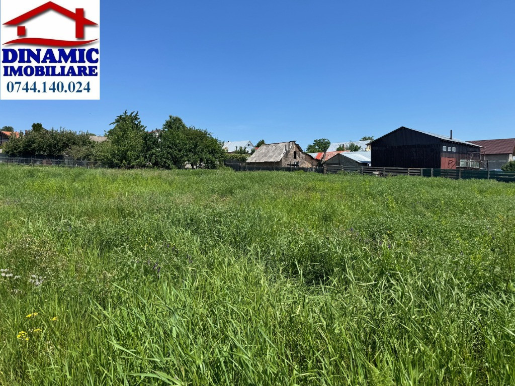 1231 mp Turturesti, intre case, 26000 EURO