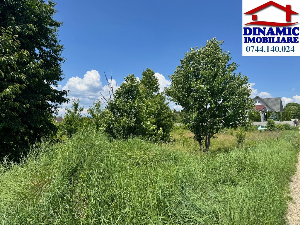 500 mp intravilan Turturesti ???????????????? ???????????????????? ????????????????????