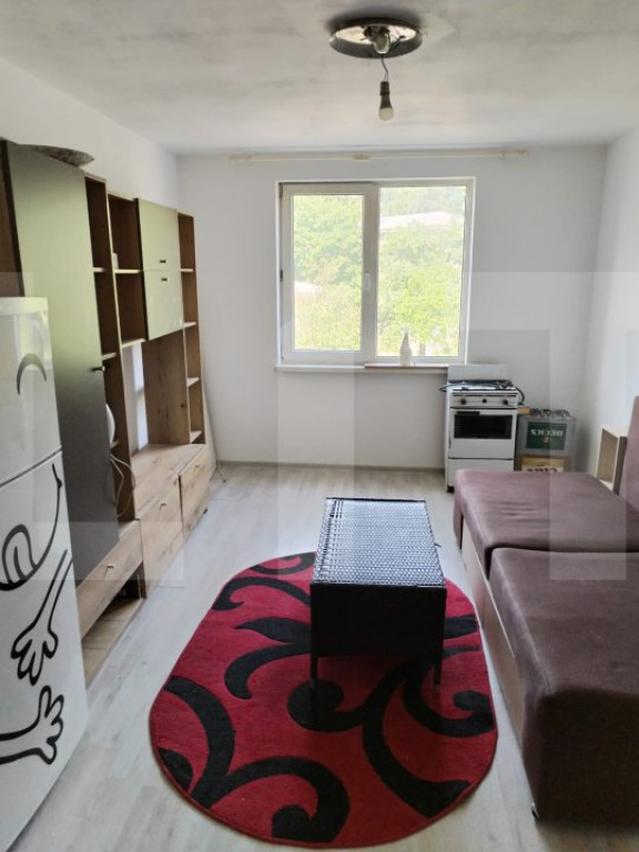 Garsoniera/camera camin, de vanzare, 20,5 mp, zona Liceu Eli