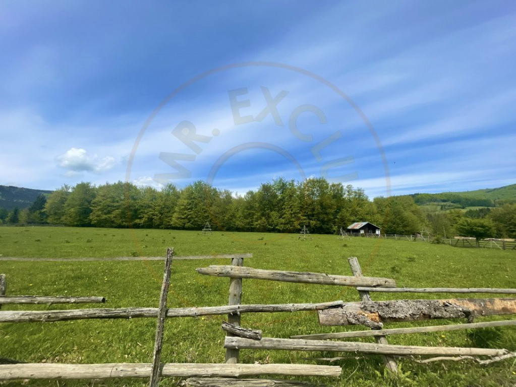 Teren panoramic Valea Doftanei