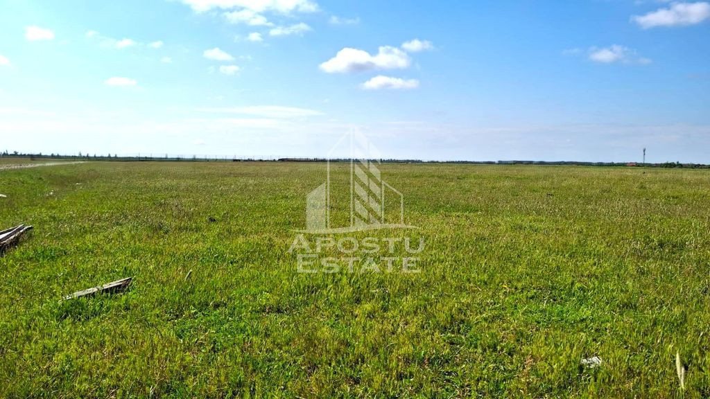 Teren Intravilan cu PUZ, ideala pentru Dezvoltatori