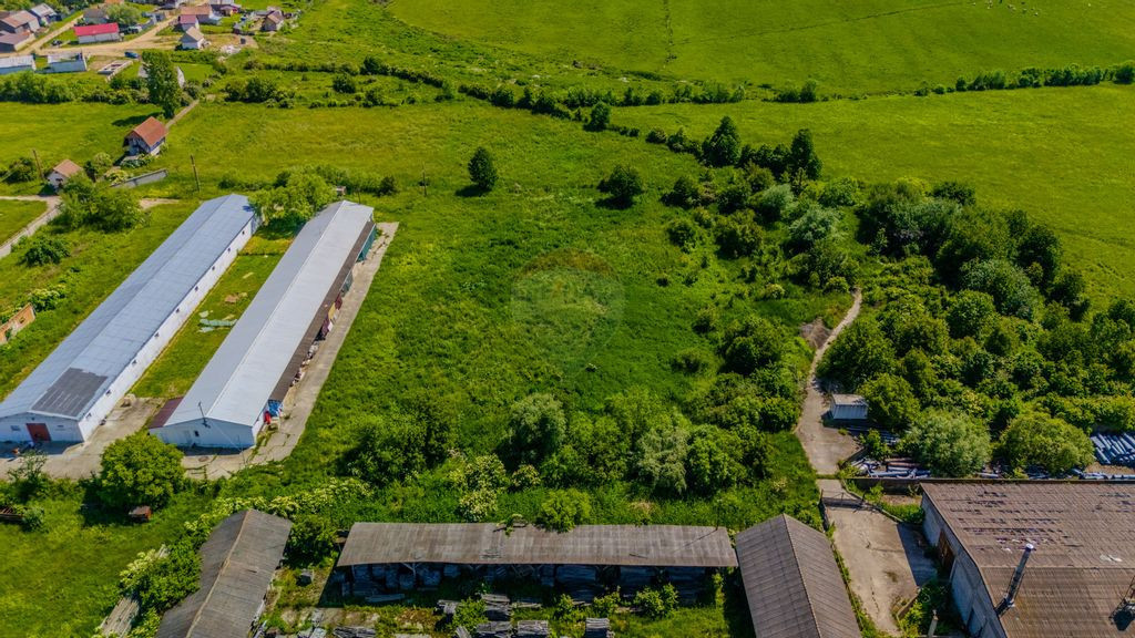 Teren de închiriat–9.335 mp, împrejmuit, camere TELIU...