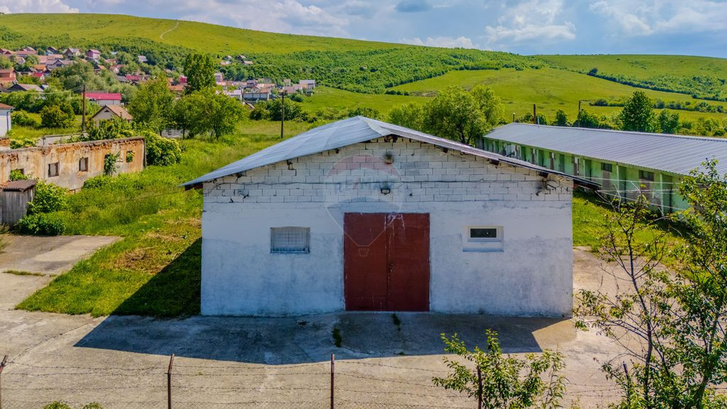 Spațiu industrial de 700mp de închiriat