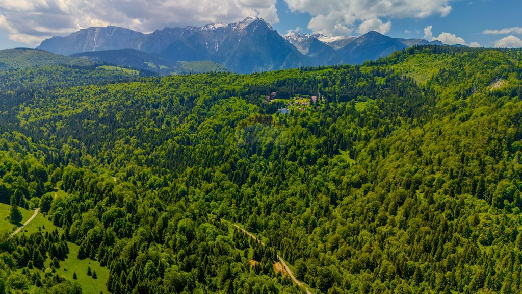 Teren extravlan 14,400mp Paraul Rece / Strada 3 brazi