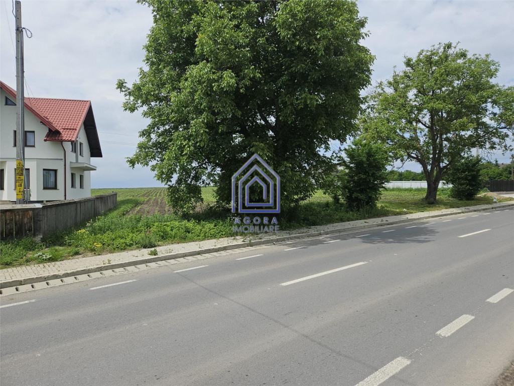 Teren , Liteni Moara, la sosea