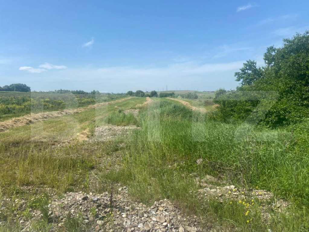 Teren intravilan ,acces dublu, 908 mp, zona Moara