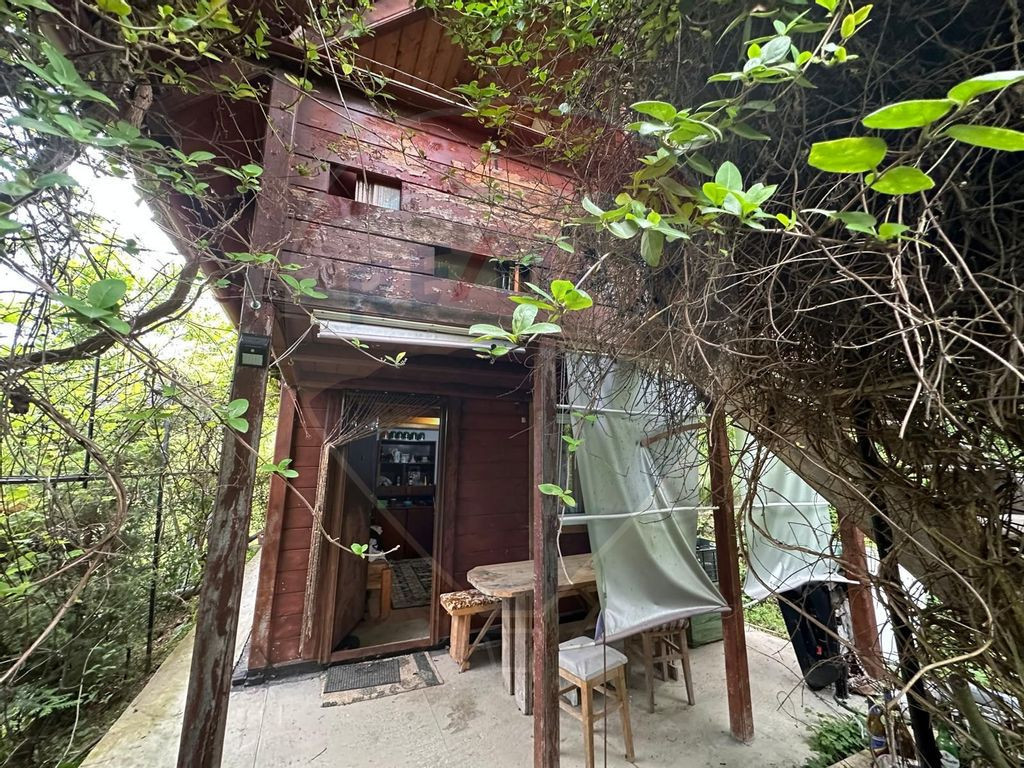 DE VANZARE - Cabana / casa vacanta in COAS