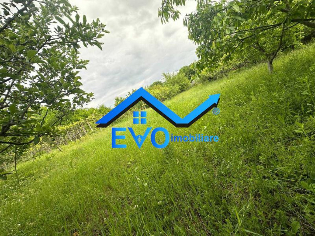 Teren intravilan 2200 mp in Pietraria, Barnova, deschidere 4