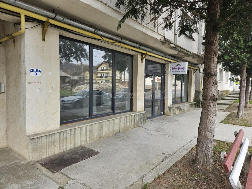 Spatiu comercial de inchiriat 110 mp Central Fieni