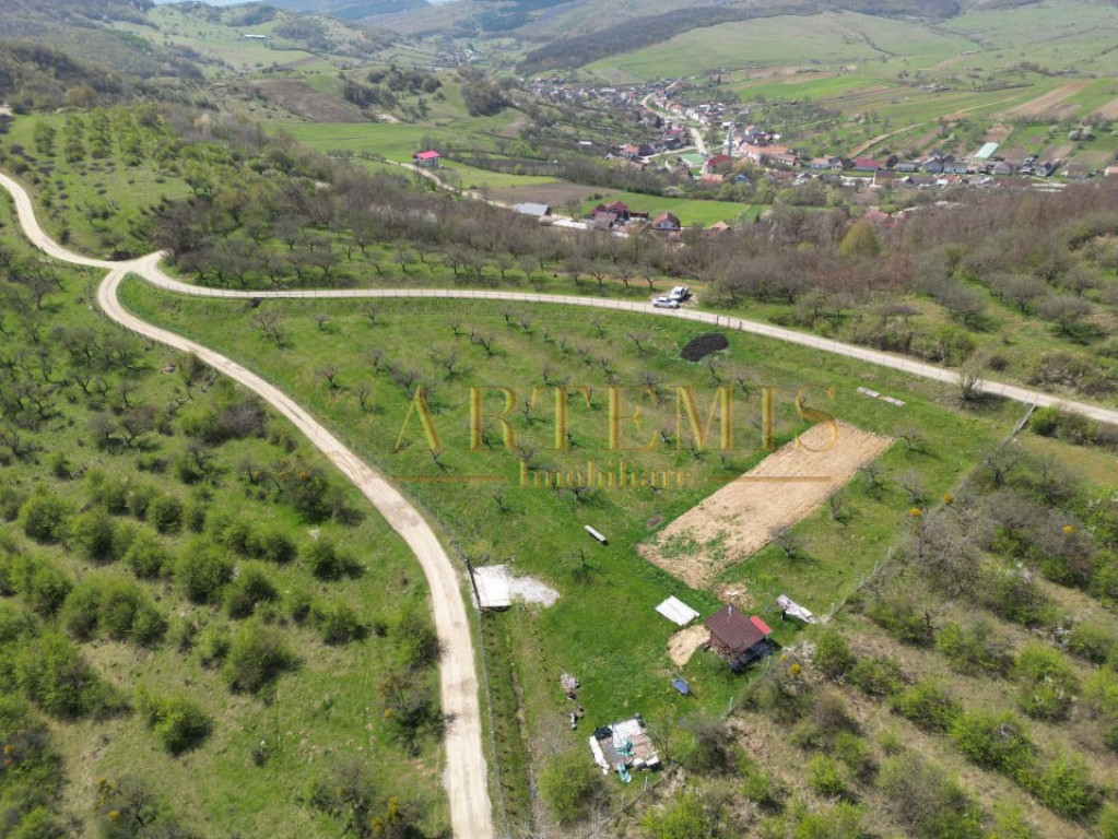 Oportunitate de investitie-Teren Extravilan / 4850 mp