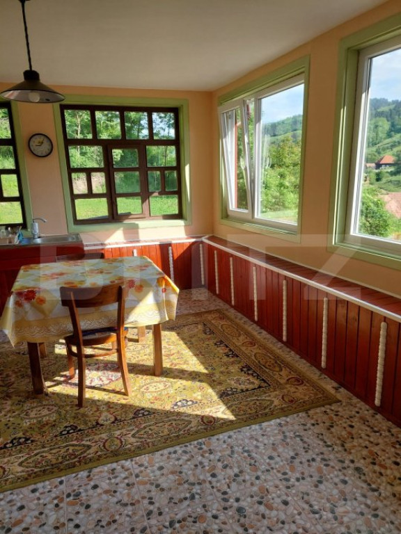 Casă la munte, 5 camere, 4800 mp teren, zona Ocolis