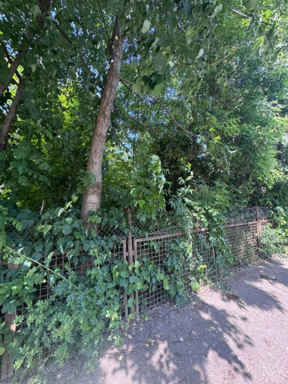 Teren constructii, 4200mp, Radauti