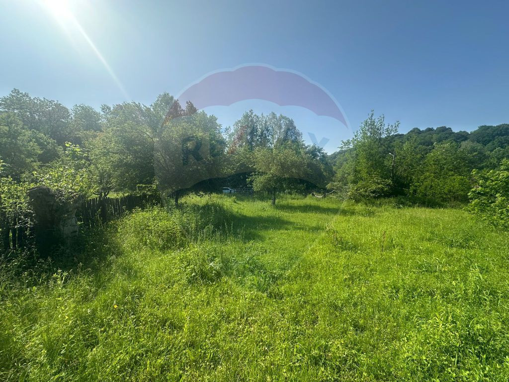 Vanzare Teren Cosminele de Sus