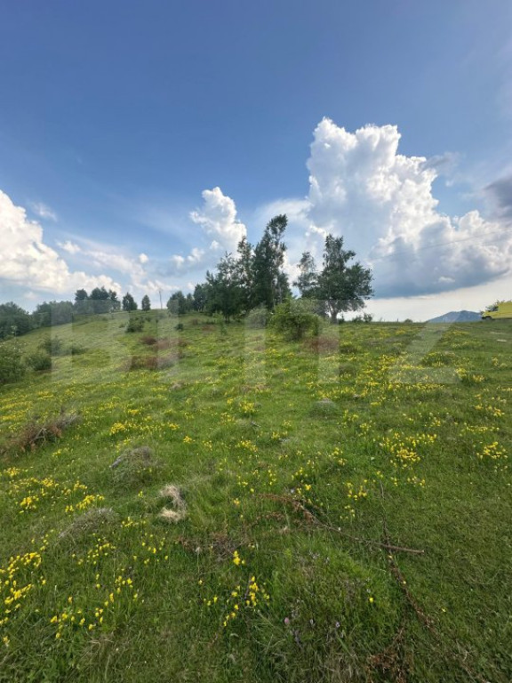 Teren extravilan 2241 mp ideal pentru cabana in Ramet Transa