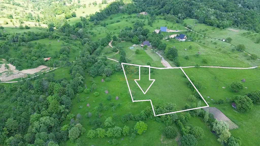 De vanzare Teren 60 ari Negreia/Sisesti /Zona de Vis/Fron...