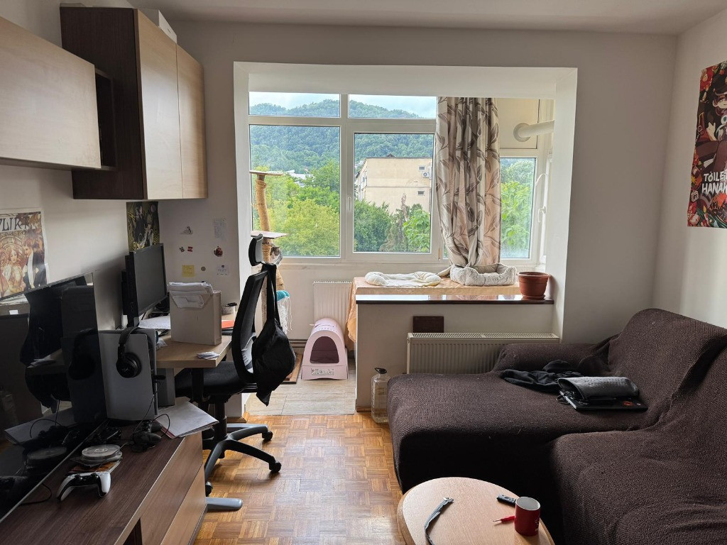 P.Dulfu, 2 camere, etaj 3