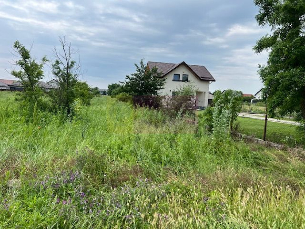 Teren Corbeanca- strada Ficusului.