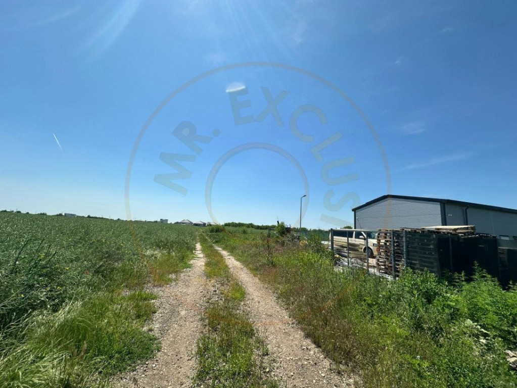 Teren Tunari - Dimieni Intravilan 3300 mp