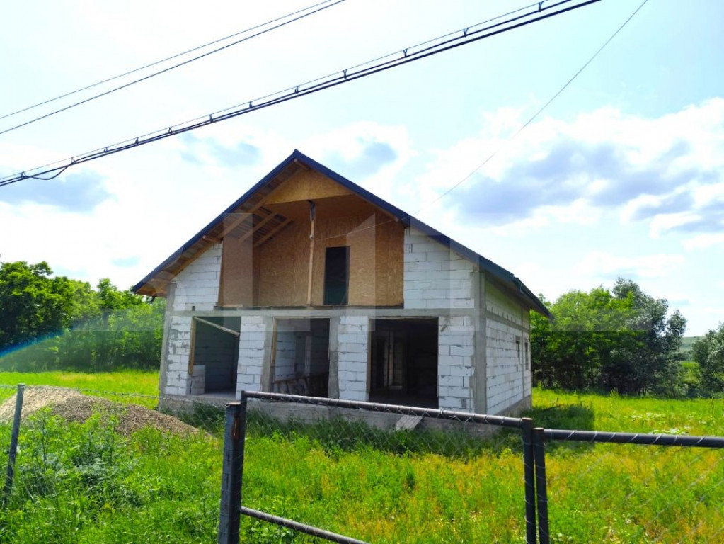 Casa spatioasa la rosu, 2024, 2800 mp teren, zona Andrieseni