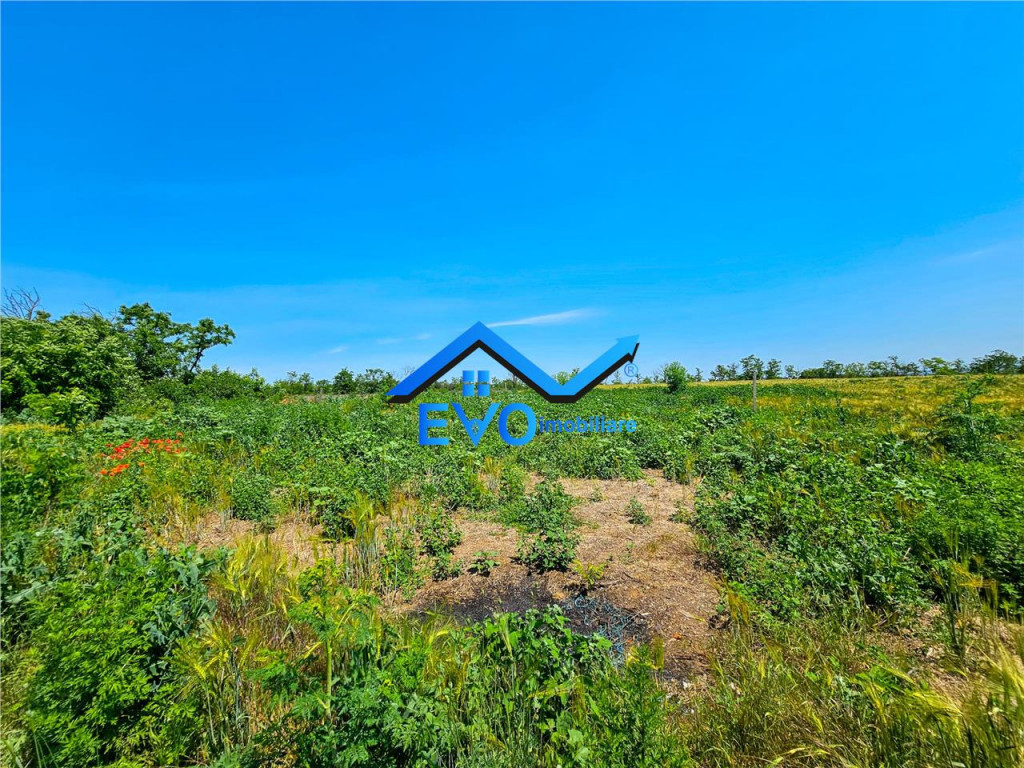 Teren intravilan 7.605 mp, langa padure , la 30 km de Iasi