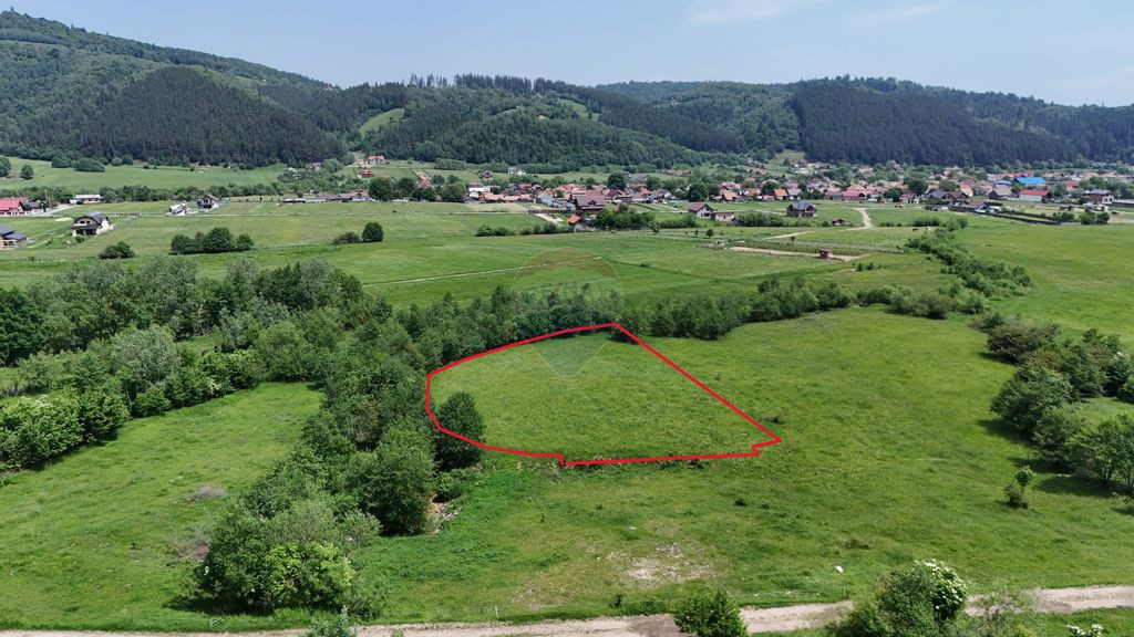 Comision 0% | Teren intravilan cu izvor | 2,730mp | Zărn...