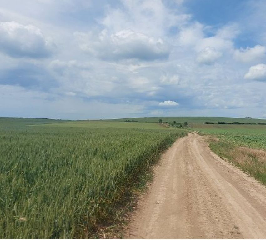 Teren extravilan, comuna Plesoiu, Jud Olt