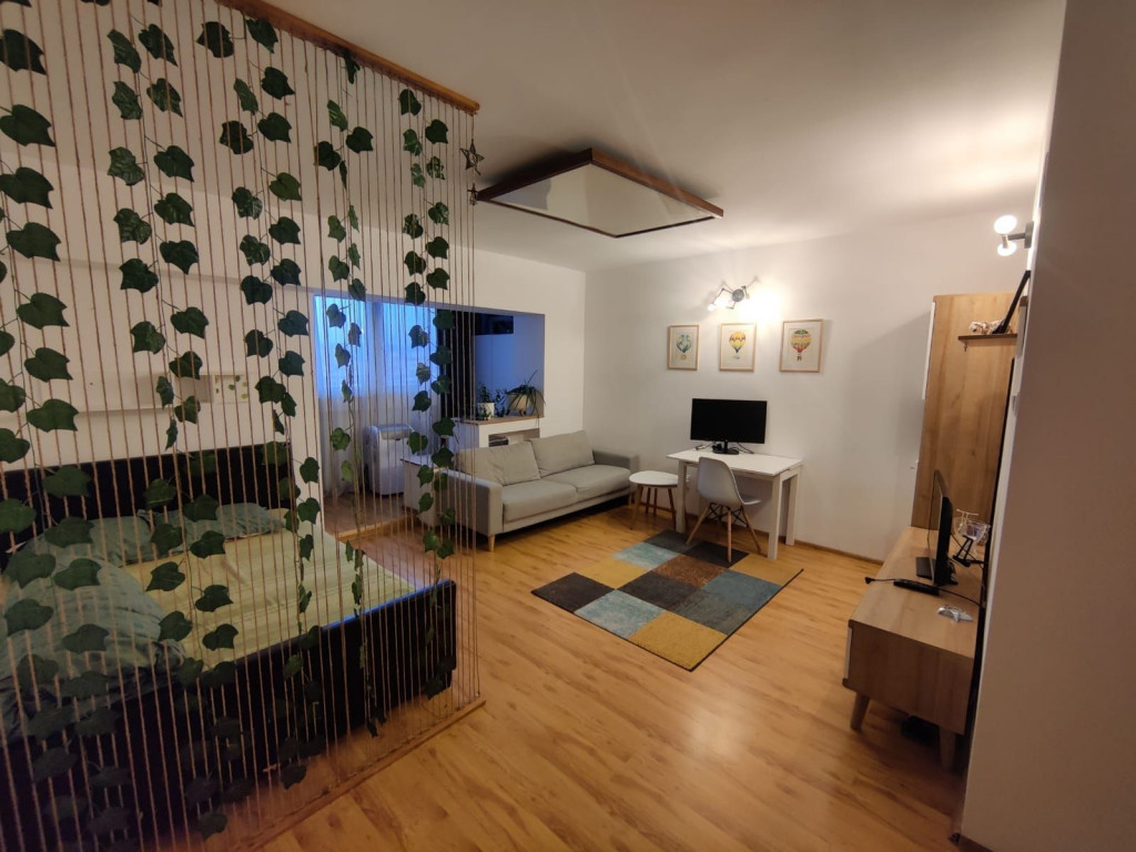 Garsoniera decomandata intrare Racadau