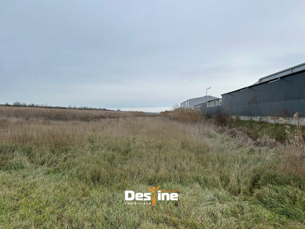 Tomești - Teren intravilan 9400 MP 2 căi de acces