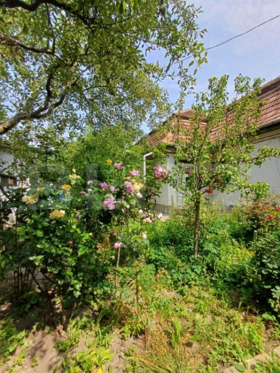 Casa individuala la rosu, 247 mp, teren 5000 mp in Surduc