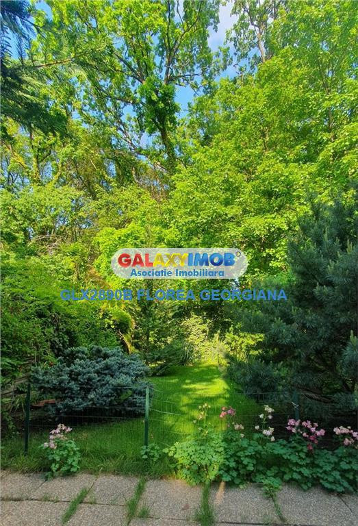 Vila 5 camere Liceul Francez