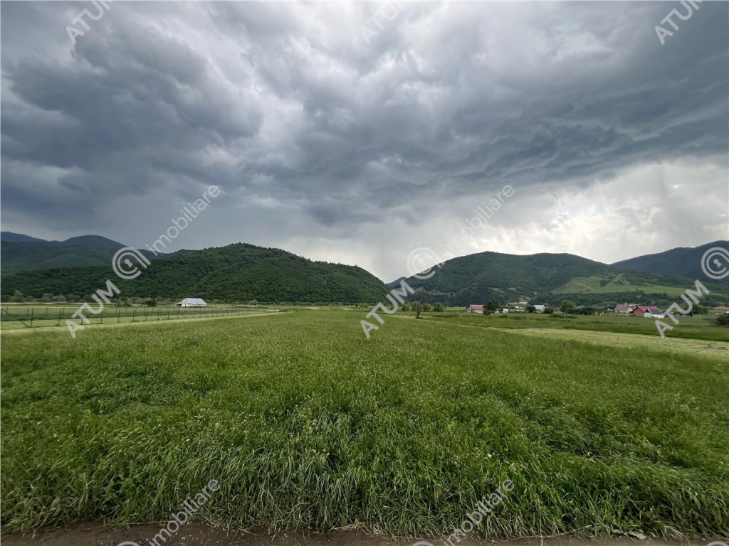 Teren intravilan de 3477 mp cu deschidere de 35 m in Boita