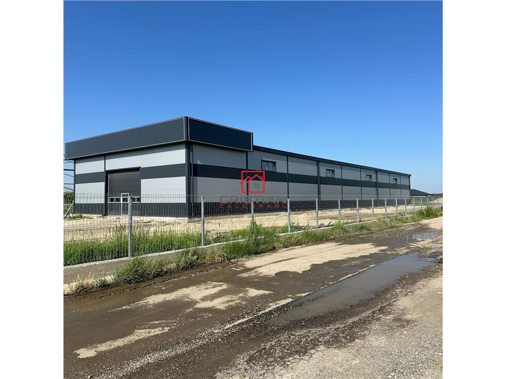 Depozit/hala/spatiu industrial Chiajna - Ciorogarla - A1-A