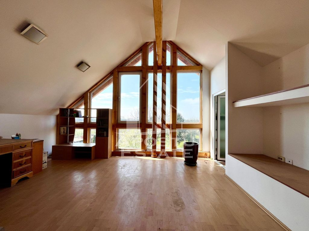 Casa individuala cu piscina, 6 camere, 3 bai, in Sag