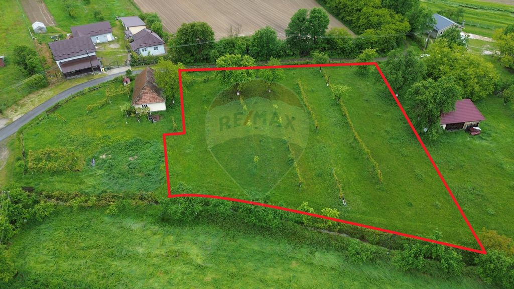 Teren de vanzare in Ariesul de Padure cu o suprafata de 2...