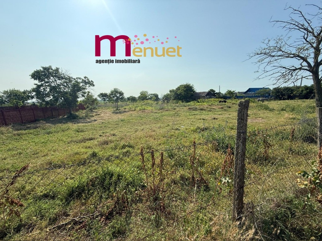 Teren 2900 mp , Dunavatul de sus