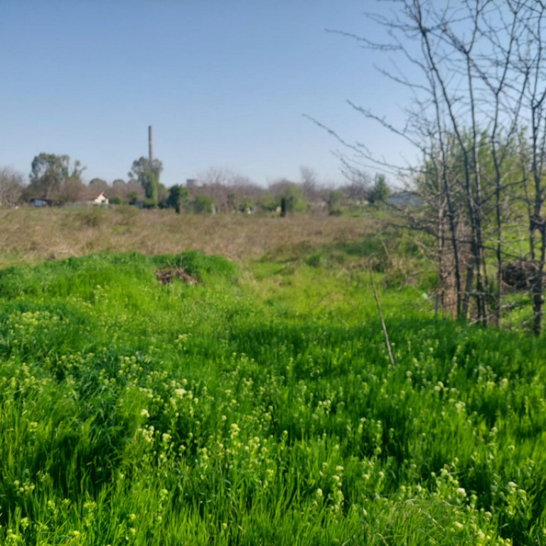 Teren 2000 mp in zona VIILE NOI