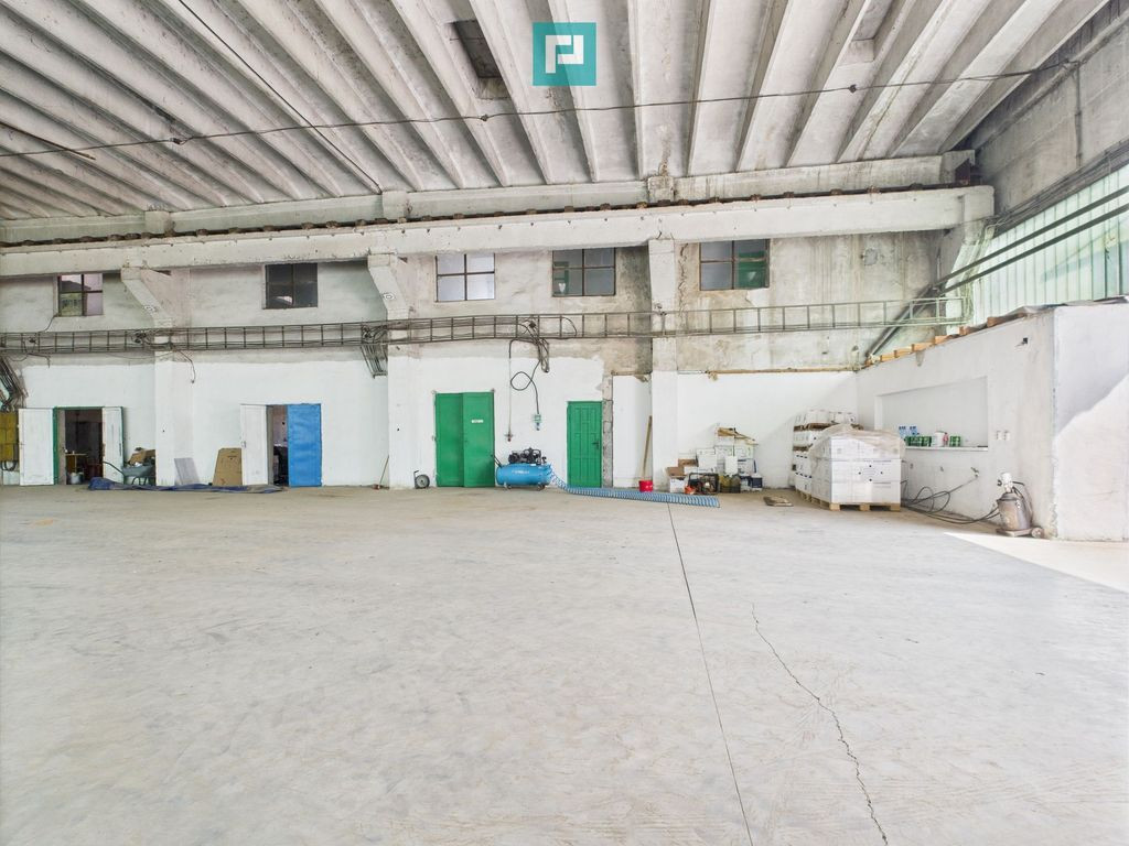 Complex industrial cu hale și teren în Orțișoara